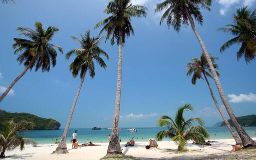 Palmen am feinsandigen Strand im Mu Ko Ang Thong Nationalpark, Südthailand © CPbackpacker / shutterstock.com