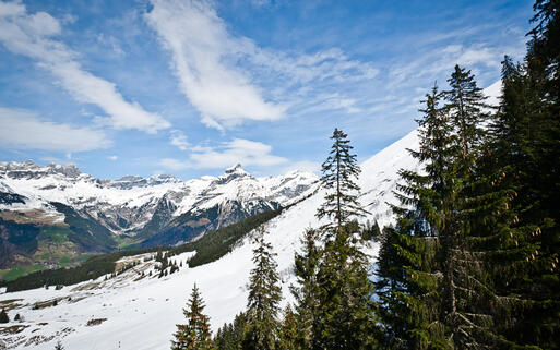 Die Alpen in der Winterlandschaft von Engelberg, Obwalden, Schweiz © Smokedsalmon / Shutterstock.com