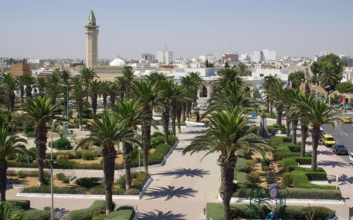 Palmen in der Küstenstadt Monastir, Tunesien © Natalia Sidorova / Shutterstock.com