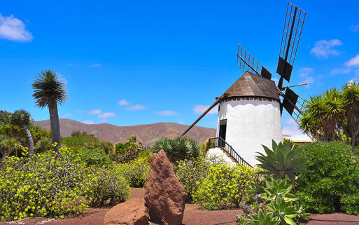 © nito / shutterstock.com Alte Windmühle in Antigua auf Fuerteventura © nito / shutterstock.com