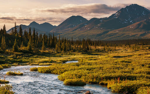 Serenity See © Galyna Andrushko / Shutterstock.com