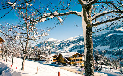 Schneebedeckte Berge und Häuser in der Skiregion Adelboden, Berner Oberland, Schweiz © gevision / shutterstock.com