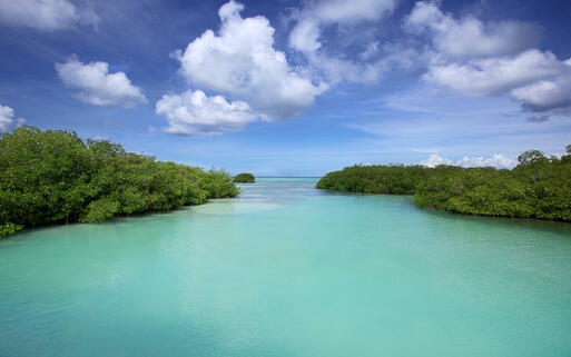© colacat / Shutterstock.com Kanal der Insel Saona im Nationalpark Del Este © colacat / Shutterstock.com