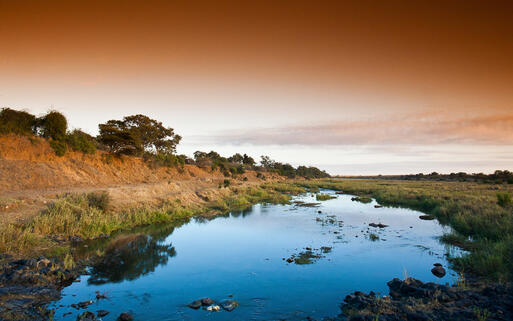 Afrikanische Landschaft im Krüger Nationalpark © Pal Teravagimov / Shutterstock.com