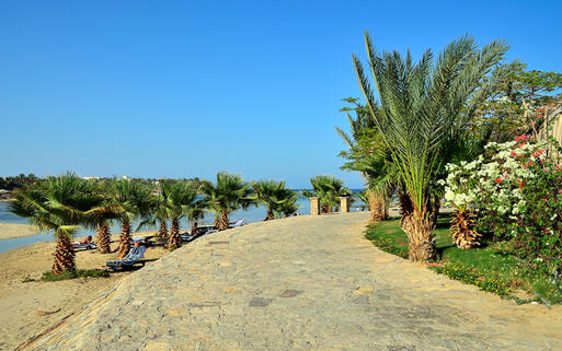 Die Strandpromenade von Marsa Alam © maudanros / Shutterstock.com
