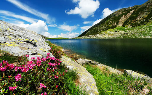 Nationalpark Retezat in Rumänien © Rechitan Sorin / shutterstock.com