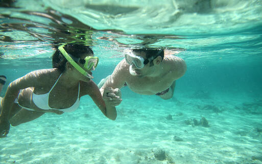 Schnorcheln in den Gewässern vor Guadeloupe © Goodluz / Shutterstock.com