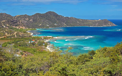Blick über Union Island Beach © Pawel Kazmierczak / Shutterstock.com