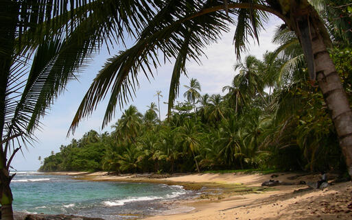 Strand in der Nähe von Puerto Viejo in Costa Rica © Alan Kraft / Shutterstock.com