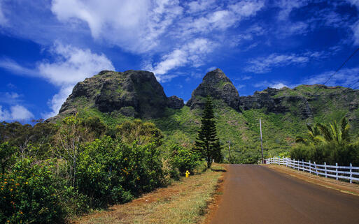 Landstraße zum Gipfel des Kikoo Nounou Berg auf der Insel Kauai, Hawaii, USA © Steve Minkler / shutterstock.com