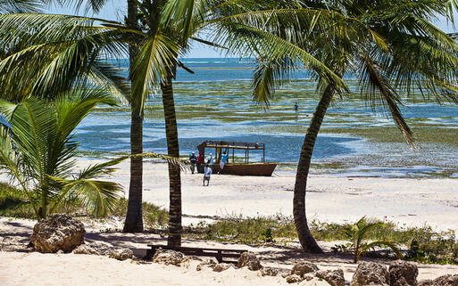 Boot am idyllischen Strand von Kenias Nordküste © Andrzej Kubik / Shutterstock.com