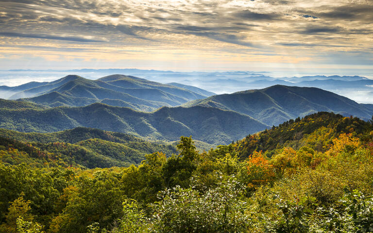 Blue Ridge Parkway Nationalpark in der Nähe von Asheville © Dave Allen Photography / shutterstock.com