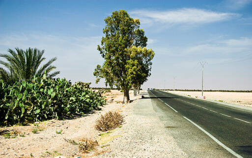 Strasse nach Agadir, Marokko © megastocker / Shutterstock.com