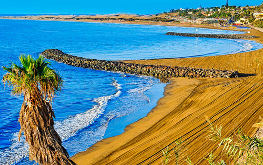 Blick auf den beliebten Strand Playa del Ingles auf Gran Canaria © nito / Shutterstock.com