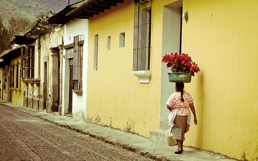 Gepflasterte Straßen von Antigua © charles taylor / Shutterstock.com