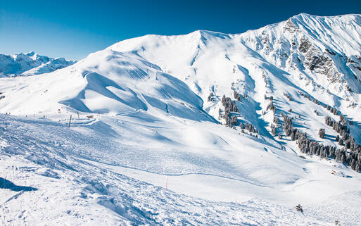 Blick auf das Skigebiet in Adelboden im Berner Oberland, Schweiz © gevision / shutterstock.com