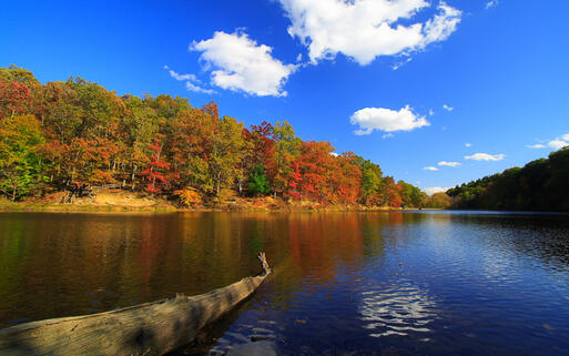 Brown County State Park nahe Nashville © Aeypix / shutterstock.com