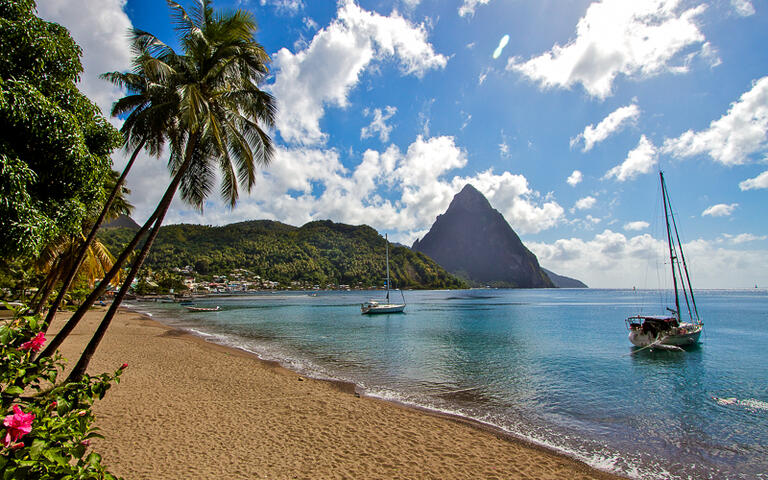 Blick auf die Küste von St. Lucia © Marc Turcan / Shutterstock.com