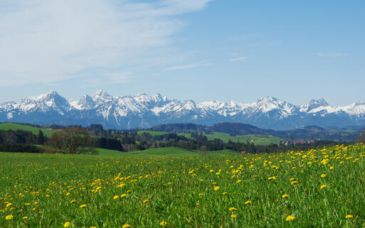 Alpen in Bayern © Claudio Del Luongo / shutterstock.com