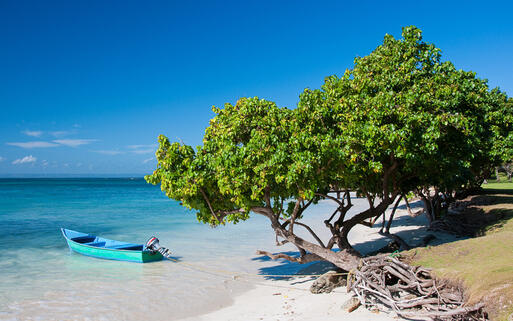 Karibischer weißer Sandstrand mit Boot © Francois Gagnon / Shutterstock.com