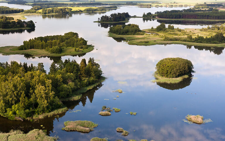 Blick auf einen See in Litauen © vikau / shutterstock.com