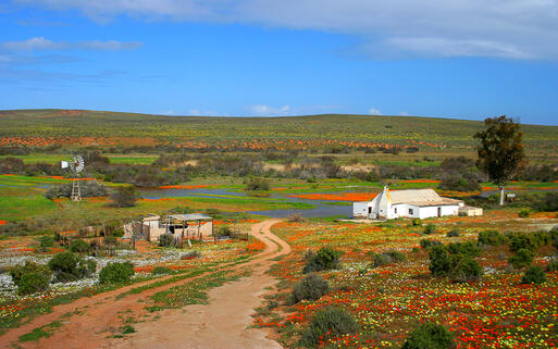 Blick auf eine Farm in Namaqualand © Andre Klopper / Shutterstock.com