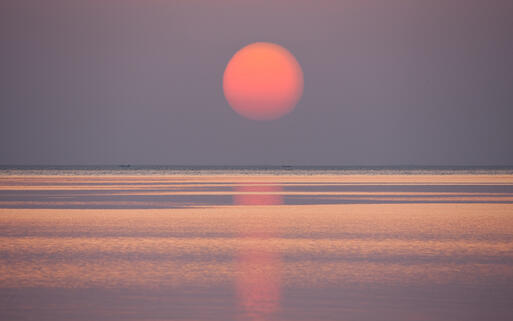 Malerischer Sonnenaufgang am roten Meer © aleksandr hunta