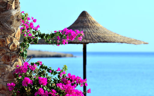 Traumhafter Blick über das Rote Meer © maudanros / shutterstock.com