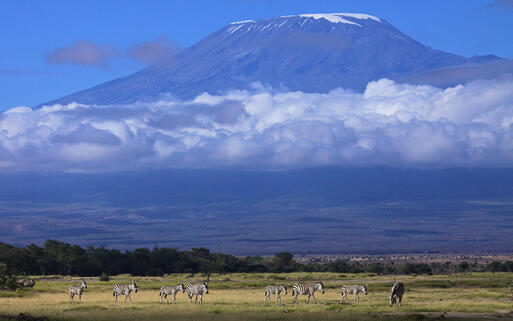 © Graeme Shannon / Shutterstock.com Morgenstimmung am Kilimanjaro © Graeme Shannon / Shutterstock.com