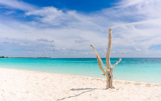 Naturbelassener Strand auf Cayo Largo, Cuba © Vladimir Krupenkin / Shuttertock.com