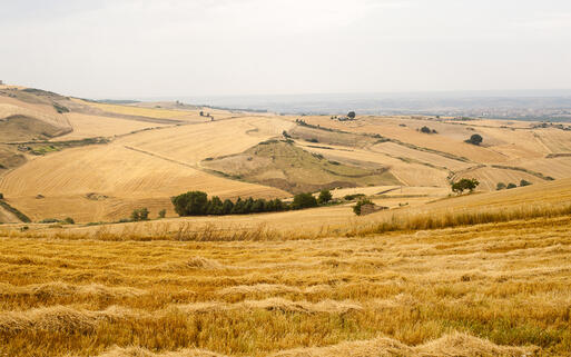 Panoramablick über die Landschaft nahe von Forenza © Claudio Giovanni Colombo  / Shutterstock.com