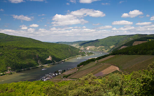 Weinberge vom Rittersaal Ausblick aus © Circumnavigation / shutterstock.com
