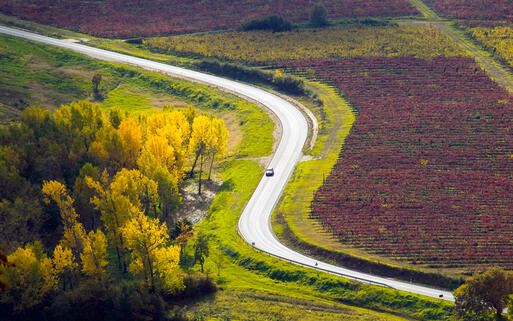 Straße durch die Landschaft von Istrien © Sinisa Botas / Shutterstock.com