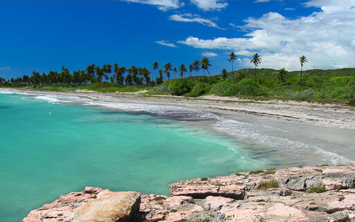 Blick auf den Strand im Guanica Reservat in Puerto Rico © Jason Patrick Ross / Shutterstock.com