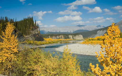 Quellfluss Ogilvie River im Nordwesten Kanadas © FloridaStock / Shutterstock.com