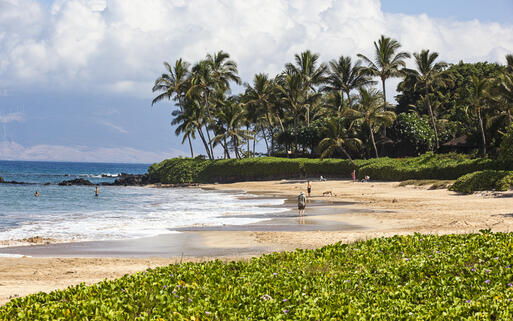 Der beliebte Wailea Beach auf der Hawaii Insel Maui, USA © Tim Roberts Photography / Shutterstock.com