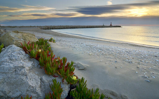 Sonnenaufgang am Strand Playa de la Malvarrosa von Valencia © Jaroslaw Saternus / Shutterstock.com