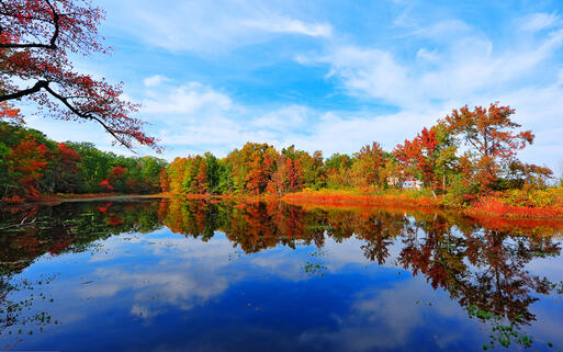 Herbstlandschaft an der Flussmündung Chesapeake Bay in Maryland, USA © Lone Wolf Photos / Shutterstock.com