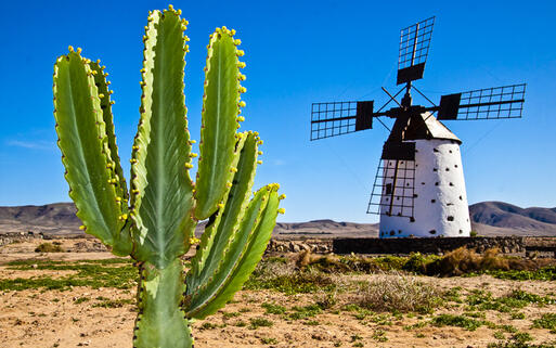 Traditionelle Windmühle aus Stein © Matej Kastelic / Shutterstock.com