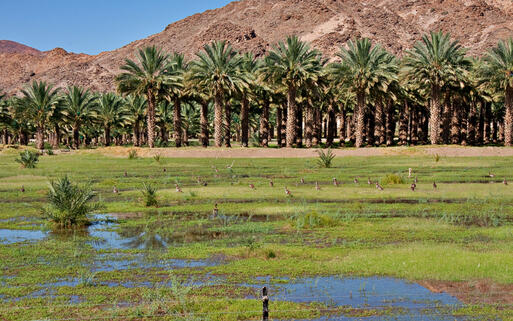 Südafrika © Daleen Loest / Shutterstock.com