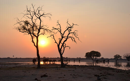 Sonnenuntergang in Simbabwe © hidddenace / Shutterstock.com