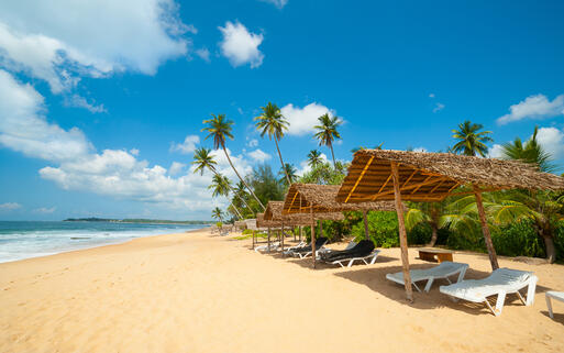 Tropischer Strand mit goldenem Sand auf Sri Lanka © Anton Gvozdikov / Shutterstock.com