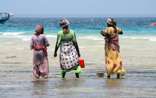 © Daniele C / Shutterstock.com Frauen suchen an der Küste nach Schalentieren © Daniele C / Shutterstock.com