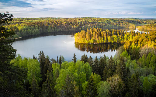 Blick auf einen finnischen See © Teemu Tretjakov / shutterstock.com