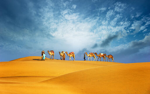 Kamelsafari in den Dünen © Banana Republic images