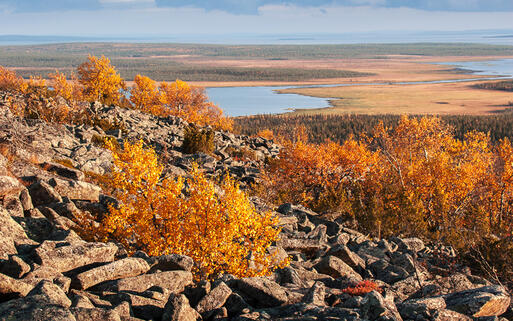 Blick über die Landschaft Lapplands im Herbst © gadag / shutterstock.com