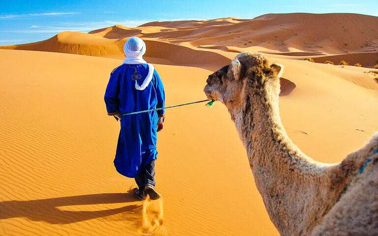 Berber mit einem Kamel in der Wüste von Marokko © Gigi Peis / Shutterstock.com