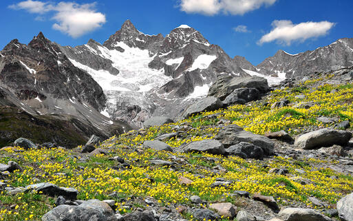 Ober Gabelhorn © Vaclav Volrab / shutterstock.com