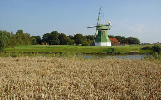 Windmühle in Niedersachsen © Volker Rauch / shutterstock.com