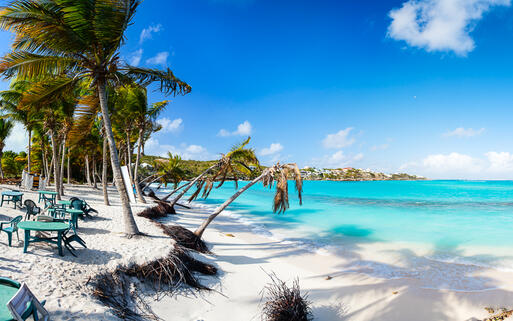 Palmenstrand auf der Karibikinsel Anguilla © BlueOrange Studio / shutterstock.com